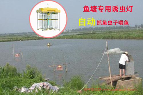 鱼塘诱虫灯专用茄子视频APP污下载