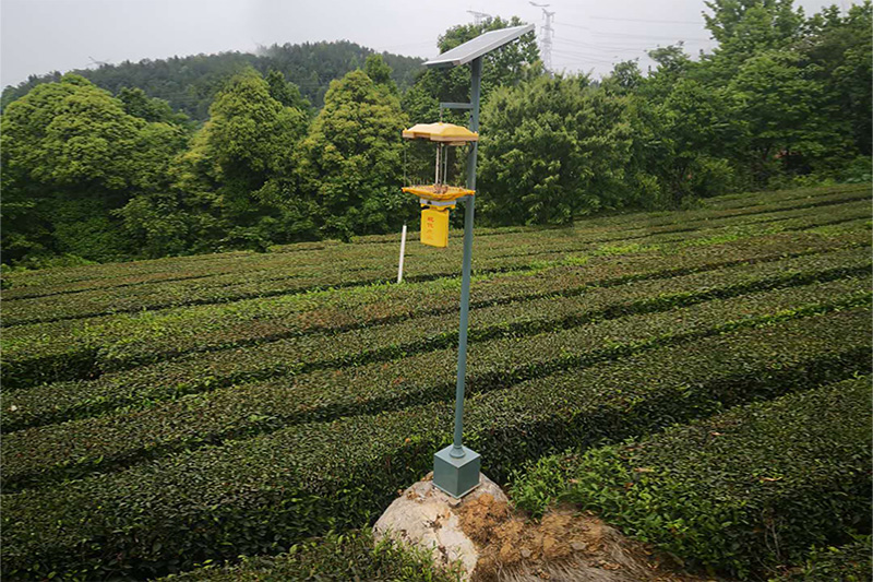 为什么茄子视频在线免费观看用的少？四个方面原因