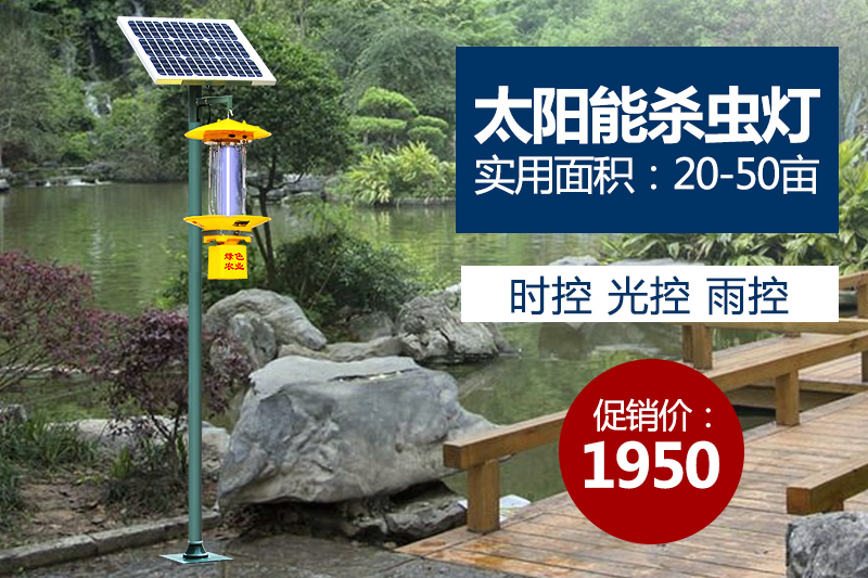 质量好的茄子视频在线免费观看价格都贵