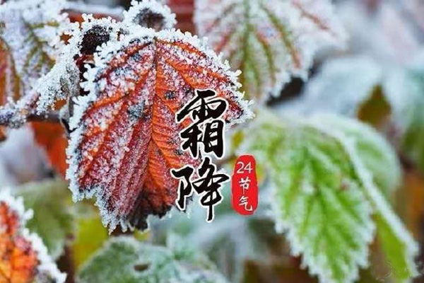 今日霜降，记得收起您的茄子视频在线免费观看