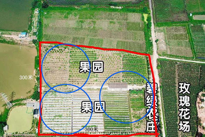 一盏杀虫灯可以管多少面积？真有那么大吗？