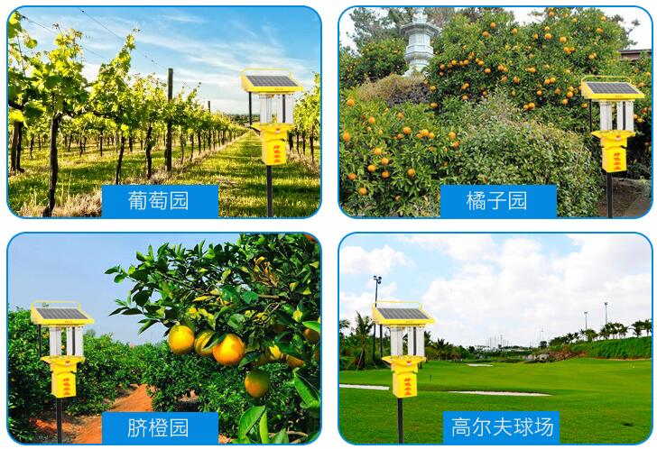 太阳能茄子黄色视频在线观看TFS15应用效果