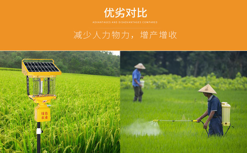茄子视频在线免费观看助力水稻田害虫防治