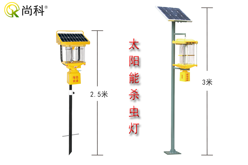 云南茄子视频在线免费观看
