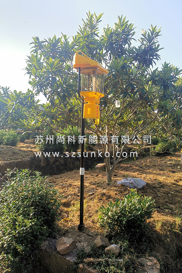 江苏苏州茄子视频在线免费观看黄板使用效果