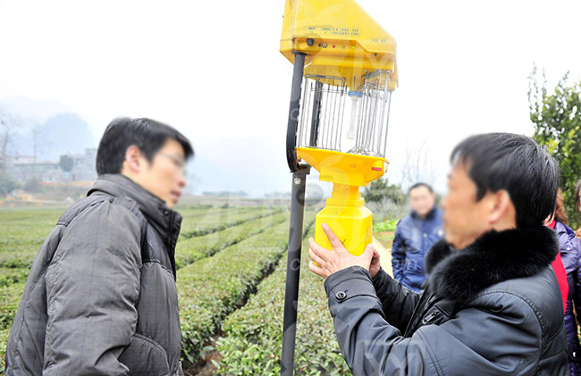 茄子视频在线免费观看灯具安装攻略，注意事项大全，一定要看