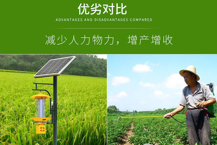 茄子视频在线免费观看多少亩一台，节能环保的杀虫灯应用